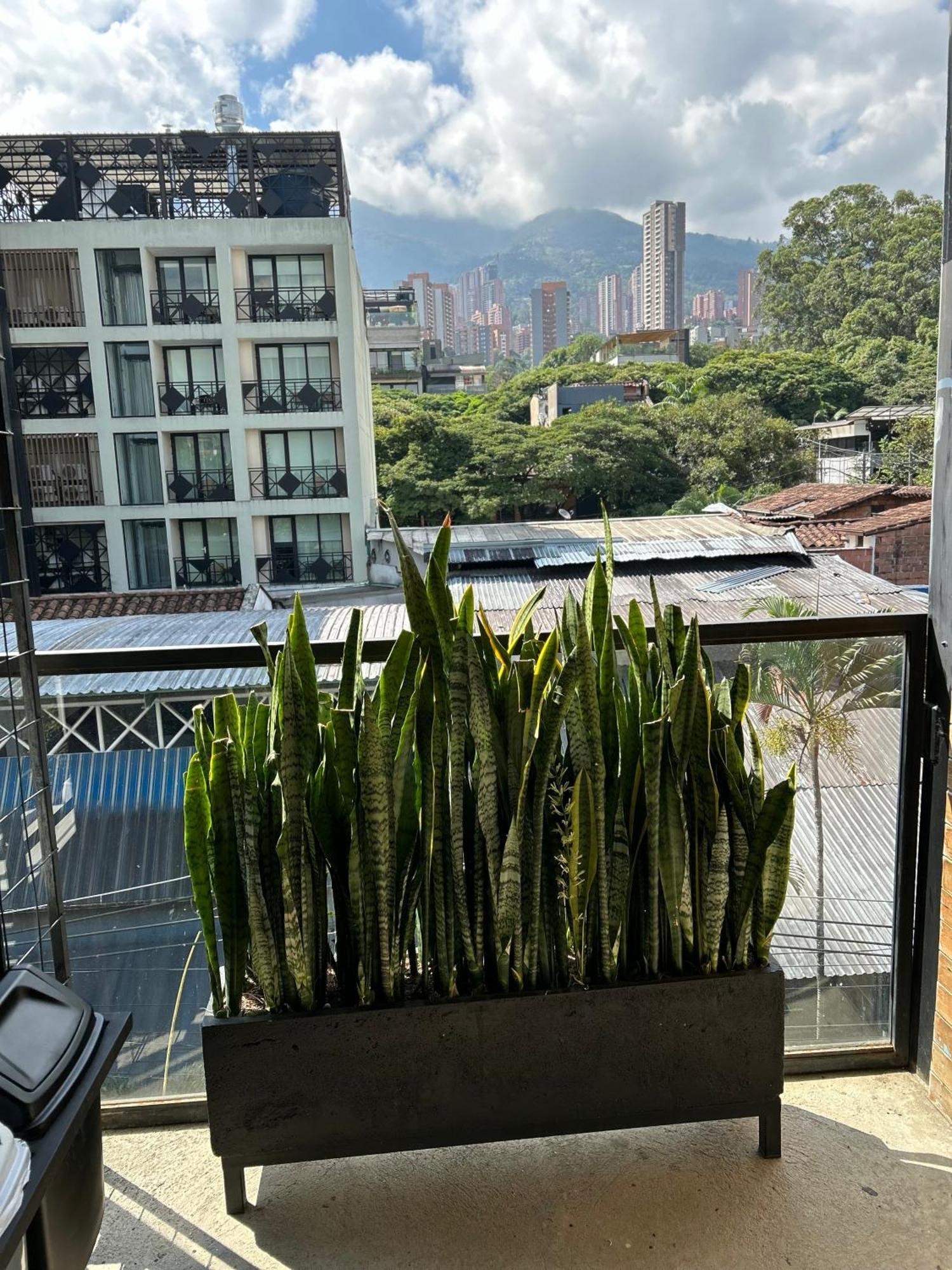 Hotel Lleras Medellín Exteriör bild